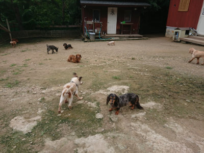 f:id:roukenhome-ann:20190717175605j:plain