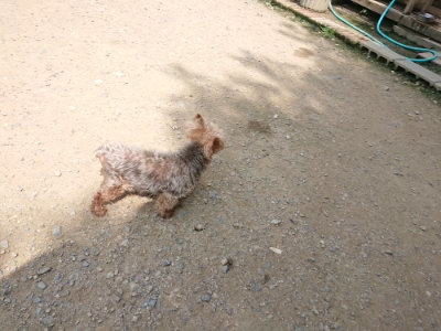 f:id:roukenhome-ann:20190717175637j:plain