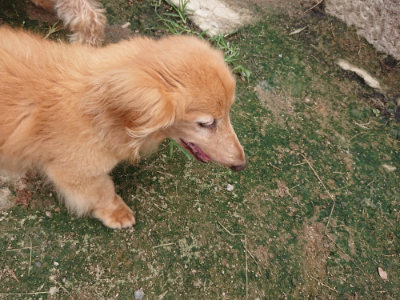f:id:roukenhome-ann:20190717175648j:plain