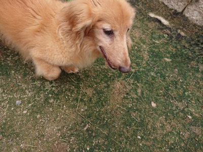 f:id:roukenhome-ann:20190717175708j:plain