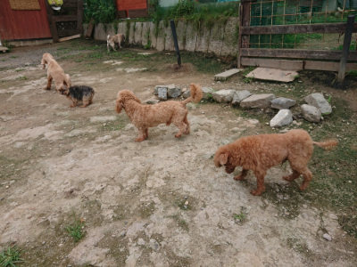 f:id:roukenhome-ann:20190717180143j:plain