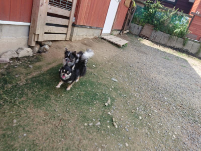 f:id:roukenhome-ann:20190717180148j:plain