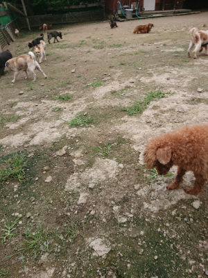 f:id:roukenhome-ann:20190717180341j:plain