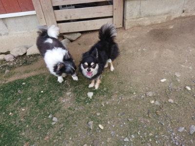 f:id:roukenhome-ann:20190717180351j:plain