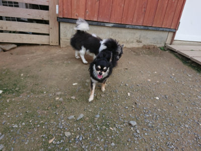 f:id:roukenhome-ann:20190717180445j:plain