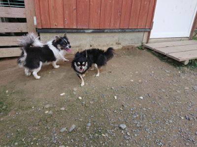 f:id:roukenhome-ann:20190717180508j:plain