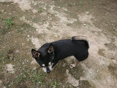 f:id:roukenhome-ann:20190717180624j:plain