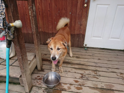 f:id:roukenhome-ann:20190717180633j:plain