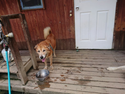 f:id:roukenhome-ann:20190717180655j:plain