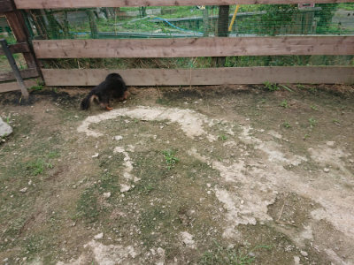 f:id:roukenhome-ann:20190717180710j:plain