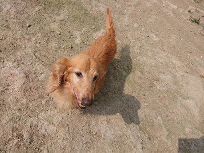 f:id:roukenhome-ann:20190718111800j:plain f:id:roukenhome-ann:20190718111800j:plain