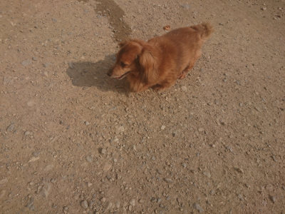 f:id:roukenhome-ann:20190718111807j:plain f:id:roukenhome-ann:20190718111807j:plain