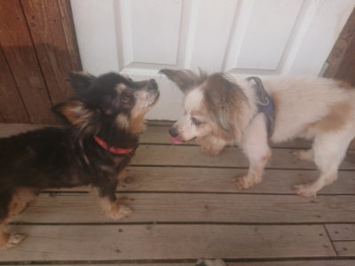 f:id:roukenhome-ann:20190718111815j:plain f:id:roukenhome-ann:20190718111815j:plain