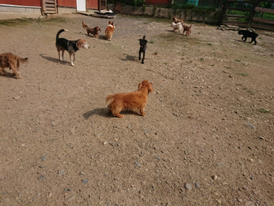 f:id:roukenhome-ann:20190718111820j:plain f:id:roukenhome-ann:20190718111820j:plain
