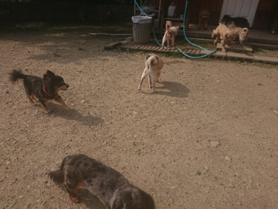 f:id:roukenhome-ann:20190718111825j:plain f:id:roukenhome-ann:20190718111825j:plain
