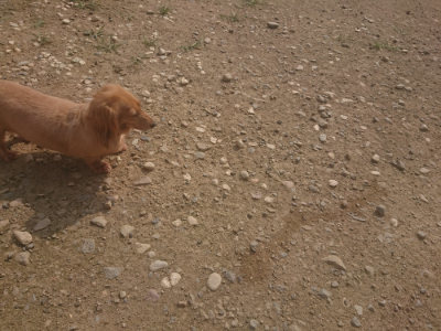 f:id:roukenhome-ann:20190718111831j:plain f:id:roukenhome-ann:20190718111831j:plain