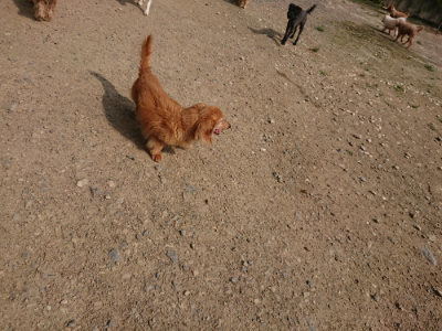 f:id:roukenhome-ann:20190718111835j:plain f:id:roukenhome-ann:20190718111835j:plain