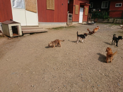 f:id:roukenhome-ann:20190718111840j:plain f:id:roukenhome-ann:20190718111840j:plain