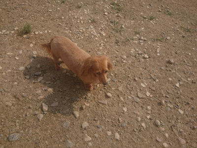 f:id:roukenhome-ann:20190718111854j:plain f:id:roukenhome-ann:20190718111854j:plain