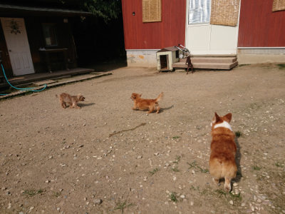 f:id:roukenhome-ann:20190718111901j:plain f:id:roukenhome-ann:20190718111901j:plain