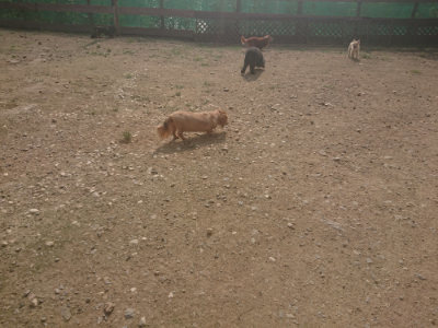 f:id:roukenhome-ann:20190718111919j:plain f:id:roukenhome-ann:20190718111919j:plain