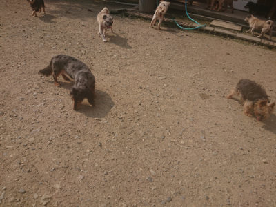f:id:roukenhome-ann:20190718111945j:plain f:id:roukenhome-ann:20190718111945j:plain