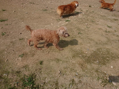 f:id:roukenhome-ann:20190718111954j:plain f:id:roukenhome-ann:20190718111954j:plain