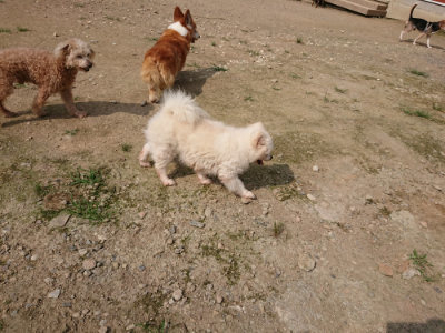 f:id:roukenhome-ann:20190718112018j:plain f:id:roukenhome-ann:20190718112018j:plain