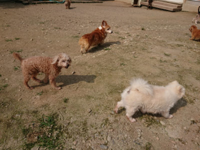 f:id:roukenhome-ann:20190718112022j:plain f:id:roukenhome-ann:20190718112022j:plain