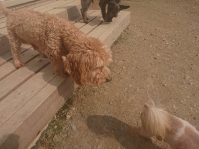 f:id:roukenhome-ann:20190718112026j:plain f:id:roukenhome-ann:20190718112026j:plain