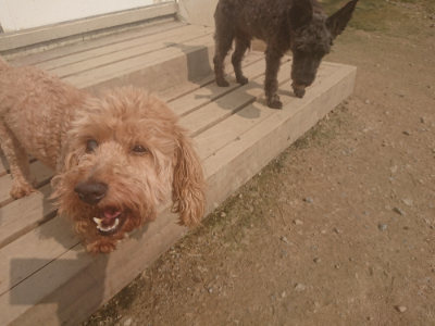 f:id:roukenhome-ann:20190718112030j:plain f:id:roukenhome-ann:20190718112030j:plain