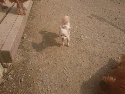 f:id:roukenhome-ann:20190718112053j:plain f:id:roukenhome-ann:20190718112053j:plain