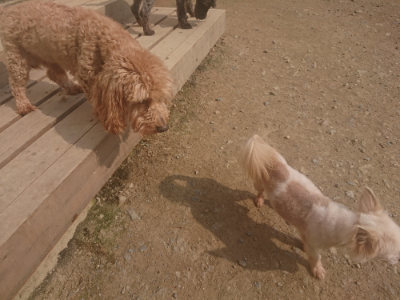 f:id:roukenhome-ann:20190718112058j:plain f:id:roukenhome-ann:20190718112058j:plain