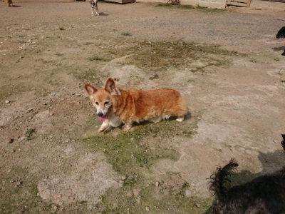 f:id:roukenhome-ann:20190718112104j:plain f:id:roukenhome-ann:20190718112104j:plain