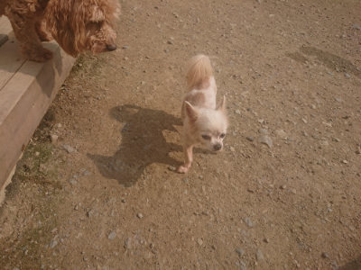 f:id:roukenhome-ann:20190718112118j:plain f:id:roukenhome-ann:20190718112118j:plain