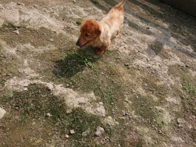 f:id:roukenhome-ann:20190718112124j:plain f:id:roukenhome-ann:20190718112124j:plain