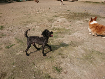 f:id:roukenhome-ann:20190718112137j:plain f:id:roukenhome-ann:20190718112137j:plain