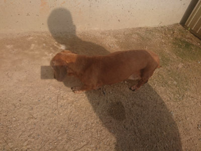 f:id:roukenhome-ann:20190718112143j:plain f:id:roukenhome-ann:20190718112143j:plain