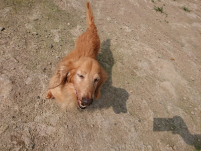 f:id:roukenhome-ann:20190718112152j:plain f:id:roukenhome-ann:20190718112152j:plain