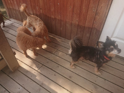 f:id:roukenhome-ann:20190718112209j:plain f:id:roukenhome-ann:20190718112209j:plain
