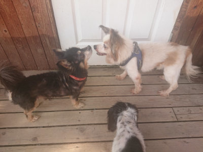 f:id:roukenhome-ann:20190718112215j:plain f:id:roukenhome-ann:20190718112215j:plain
