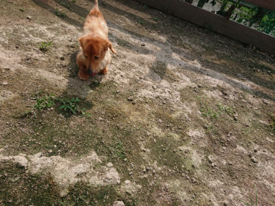 f:id:roukenhome-ann:20190718112219j:plain f:id:roukenhome-ann:20190718112219j:plain