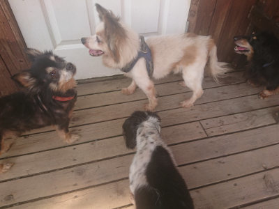 f:id:roukenhome-ann:20190718112232j:plain f:id:roukenhome-ann:20190718112232j:plain