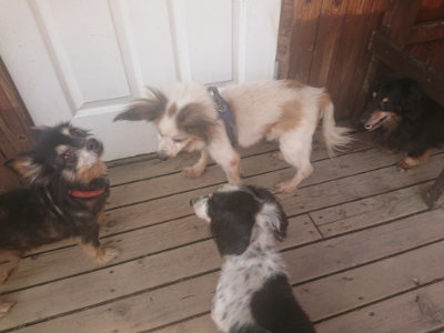 f:id:roukenhome-ann:20190718112237j:plain f:id:roukenhome-ann:20190718112237j:plain
