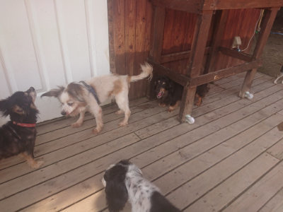 f:id:roukenhome-ann:20190718112254j:plain f:id:roukenhome-ann:20190718112254j:plain