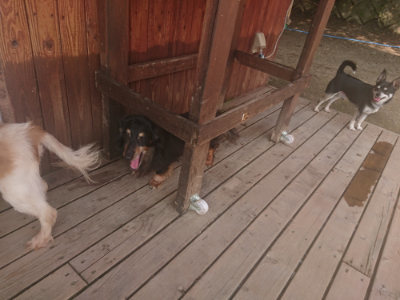 f:id:roukenhome-ann:20190718112259j:plain f:id:roukenhome-ann:20190718112259j:plain