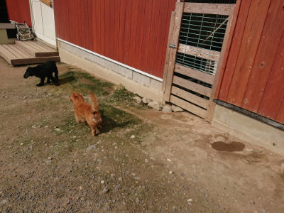 f:id:roukenhome-ann:20190718122840j:plain f:id:roukenhome-ann:20190718122840j:plain