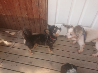 f:id:roukenhome-ann:20190718122846j:plain f:id:roukenhome-ann:20190718122846j:plain