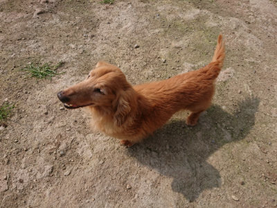 f:id:roukenhome-ann:20190718122852j:plain f:id:roukenhome-ann:20190718122852j:plain