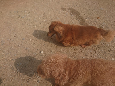 f:id:roukenhome-ann:20190718122902j:plain f:id:roukenhome-ann:20190718122902j:plain